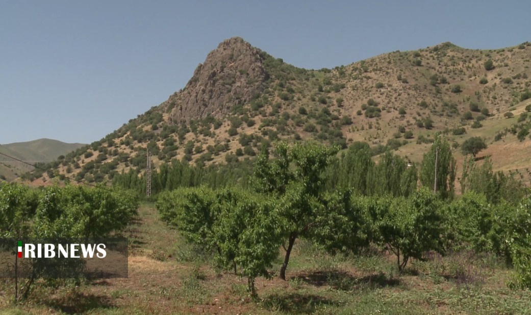 برداشت ۴۳۰ هزار تن محصولات باغی در کردستان