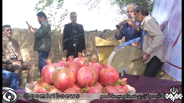 برگزاری جشنواره انار در روستای گلستانه قم