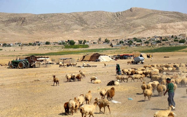 آبرسانی و بهبود راه مناطق عشایری خوزستان