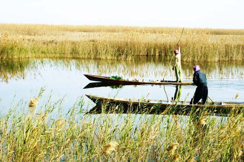 جریان زندگی در تالاب شادگان +فیلم