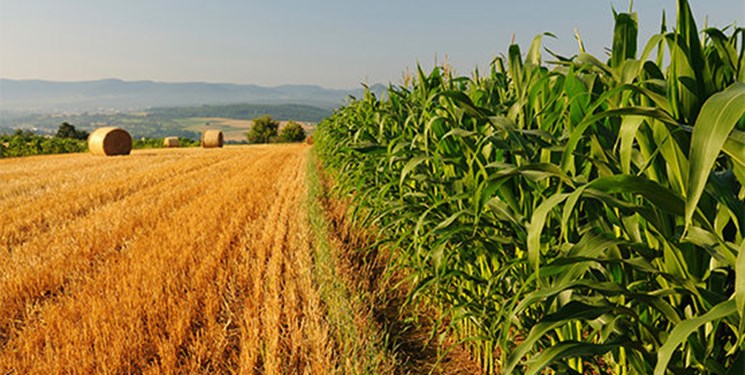 کشاورزی، قلب سبز اقتصاد