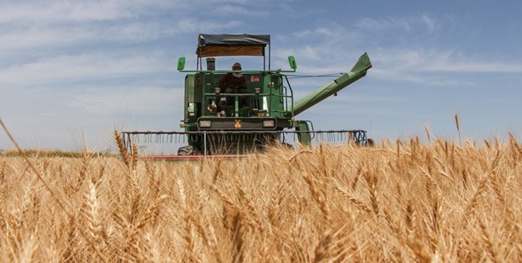 افزایش میزان خرید گندم در مراغه
