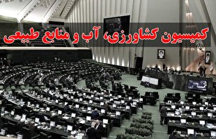 از تاخیر در صدور و توزیع کالابرگ الکترونیک تا افزایش توجه به بخش کشاورزی در برنامه هفتم