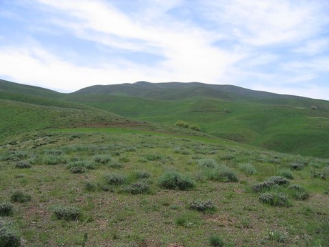 حفاظت پایدار از عرصه‌های طبیعی با انعقاد ۲۱ تفاهم‌نامه