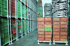 ذخیره شدن ۶۰۰ هزار تن سیب در سردخانه ‌های آذربایجانغربی