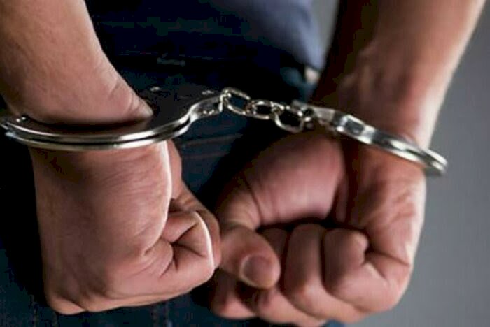 دستگیری حفاران غیرمجاز در تالش