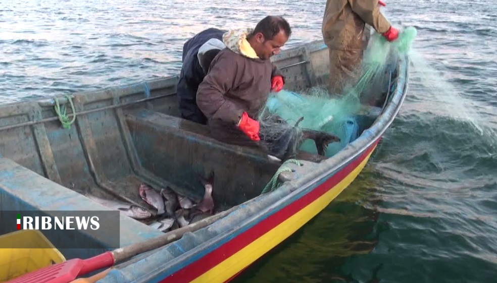 صید ماهی از سدهای کردستان