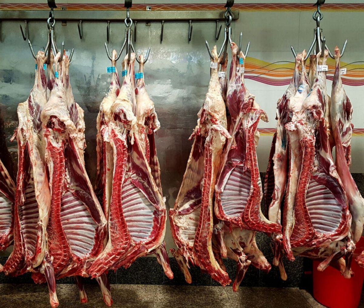 کمبود دام و صادرات دلیل افزایش قیمت گوشت قرمز در اهواز