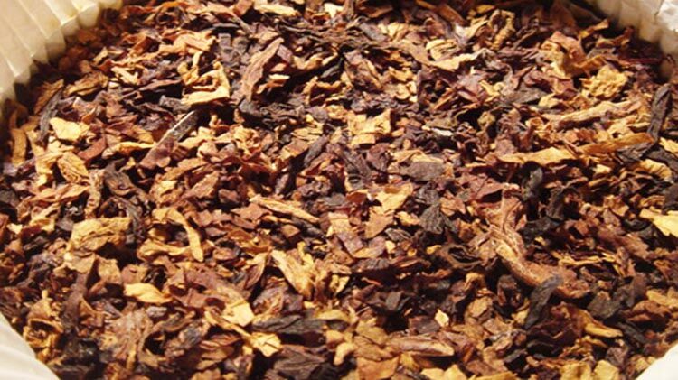 کشاورزان چناران ۱۱۳ میلیارد تومان از تجارت تنباکو سود کردند