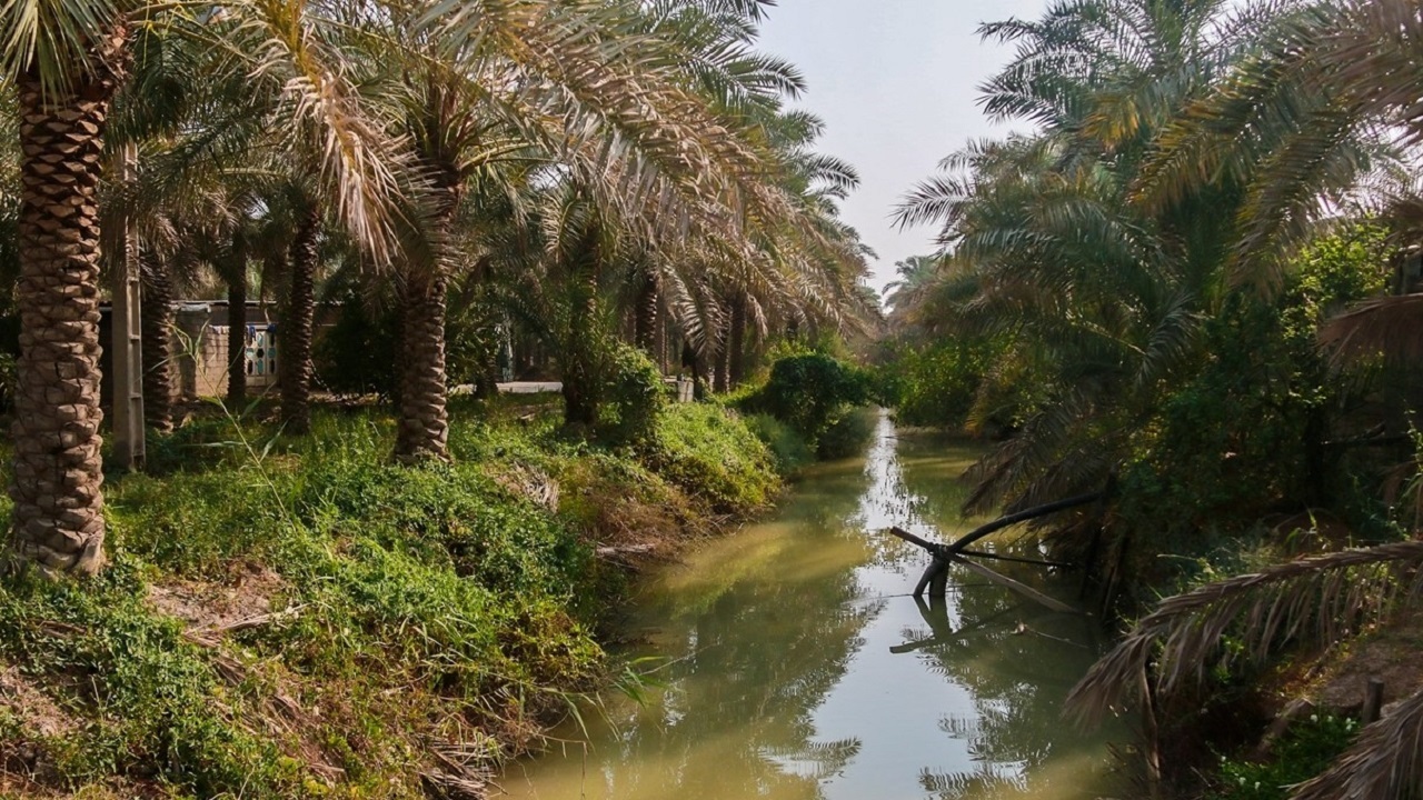 کاهش حق آبه کشاورزی خوزستان از سوی وزارت نیرو