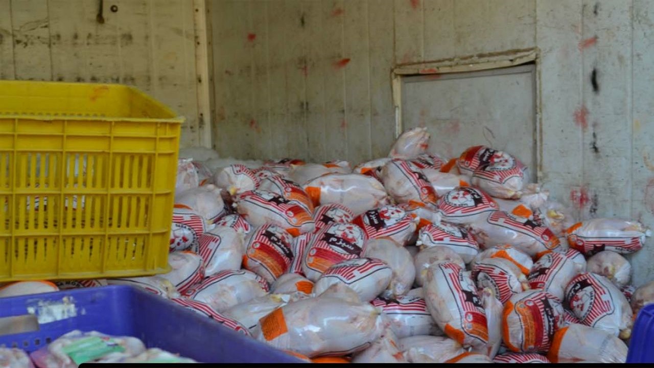 کشف بیش از ۴ تن مرغ قاچاق در تاکستان