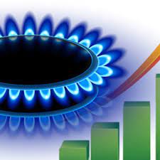 سهم ۵۶ درصدی بخش خانگی در مصرف گاز تولیدی کشور