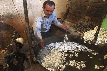 تغییر کاربری ساختمان قدیمی روستای نوغان در گیلان