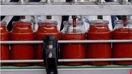 تعزیر کارخانه تولید رب گوجه فرنگی به علت گرانفروشی