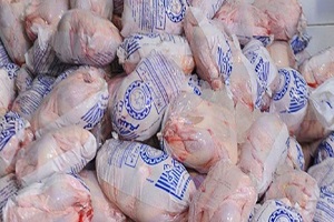 توزیع مرغ با هدف تعدیل در بازار؟