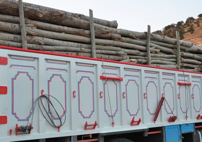 توقیف کامیون حامل ۱۵ تن چوب قاچاق در هلیلان 