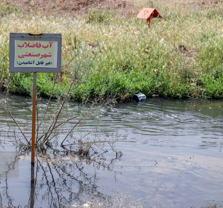 فاضلاب منشاء بیماری سالک در ساوه