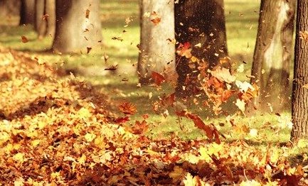 وزش باد گرم و افزایش زیر پوستی دمای هوا در گیلان