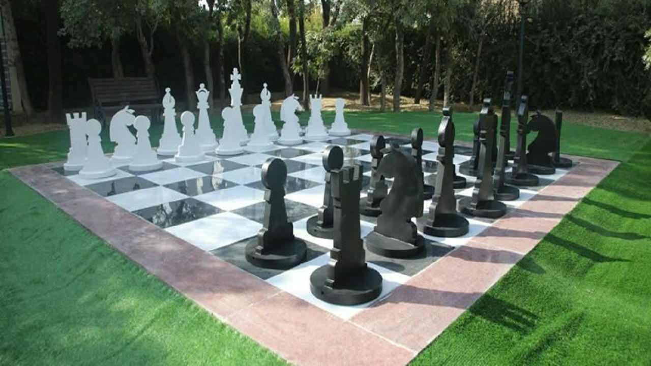 بانوی خراسان جنوبی بر سکوی اول مسابقات شطرنج کشور