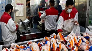 توزیع مرغ منجمد با قیمت 45 هزار تومان