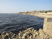 آلودگی دریایی، مهمترین مشکل زیست محیطی بوشهر
