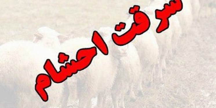 انهدام باند سارقان احشام در کرمانشاه