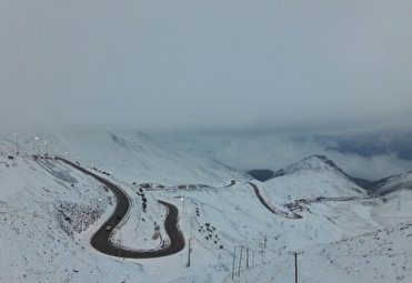 ببین باز می بارد آرام برف ...