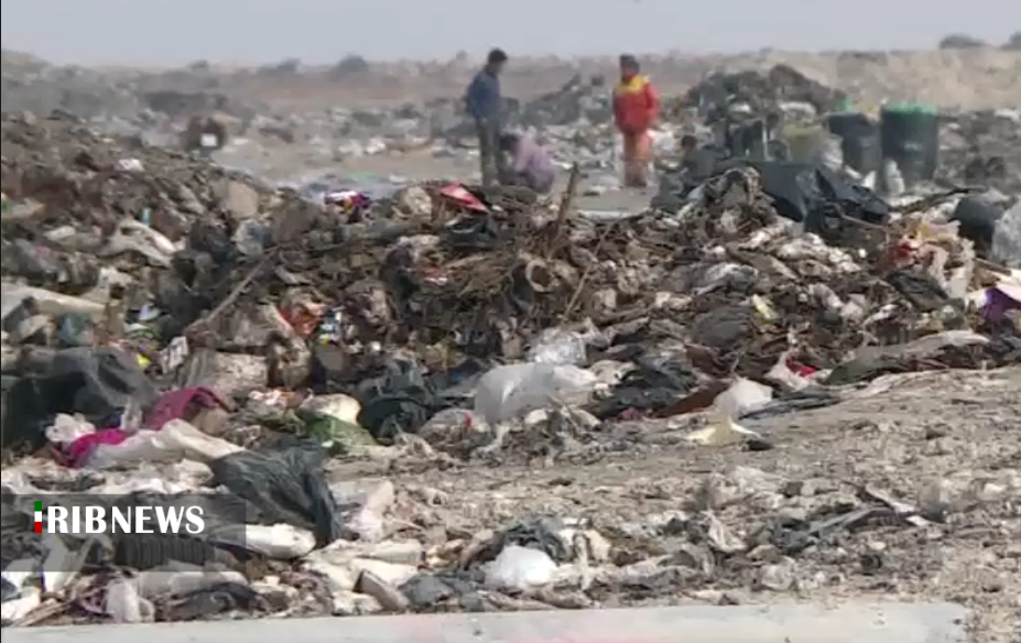 زهاب نیشکر و پسماند، سهم تالاب بین المللی شادگان