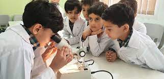 کسب ۲۴ رتبه برتر دانش آموزان کردستانی در جشنواره علمی - پژوهشی