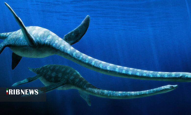 کشف فسیل نسبتا کامل دایناسورهای دریایی موسوم به الاسموسور