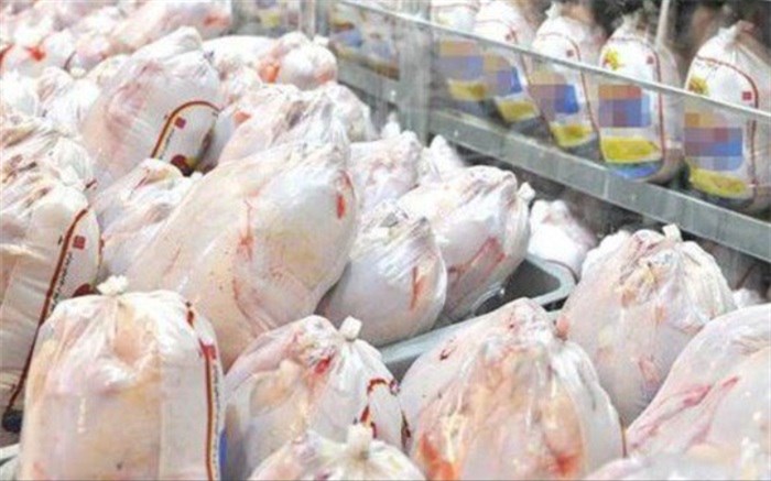 خرید مرغ مازاد خوزستان توسط پشتیبانی امور دام استان