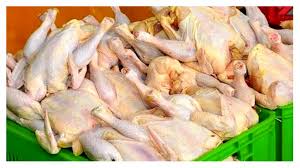 تولید روزانه بالغ بر ۱۵۰ تن گوشت مرغ در استان یزد