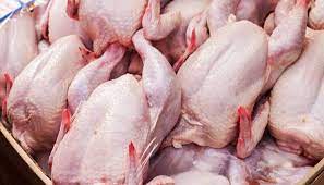 افزایش ۱۳ برابری صادرات آلایش مرغی از استان مرکزی