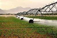 اعلام جزئیات افزایش قیمت آب بهای بخش کشاورزی