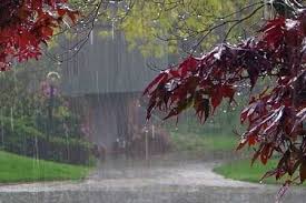 بارش باران در اراک/ ورود سامانه جدید بارشی از جمعه