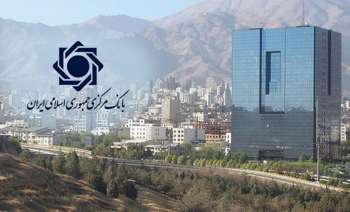 سخنگوی بانک مرکزی؛ سیاست‌بازی جایی در نقد علمی ندارد