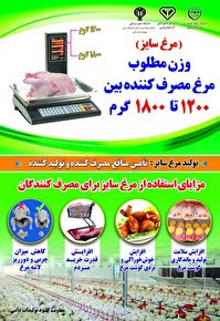  آذربایجان غربی قطب صادرات گوشت مرغ در کشور