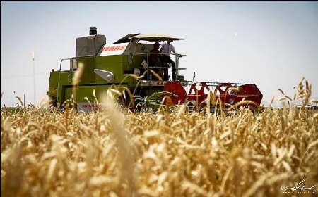 کشت قراردادی پنج محصول مهم کشاورزی برای نخستین بار در قزوین