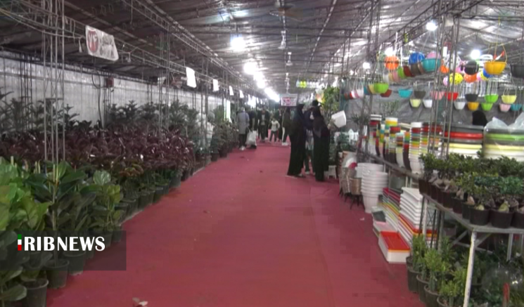 نمایشگاه شب یلدا و گل و گیاه در بوشهر برپا شد