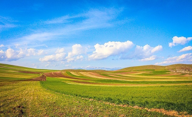 نگهداری ۱۰۰ میلیارد متر مکعب از نزولات جوی با پوشش گیاهی