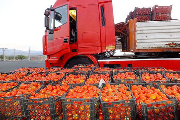 کاهش قیمت پیاز و گوجه فرنگی، پس از محدود شدن صادرات
