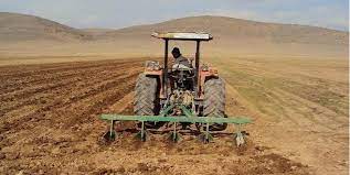 کشت محصولات پاییزه در ۱۷۵ هزار هکتار از دیمزارهای آذربایجانغربی