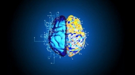 کشف جدید از فعالیت آنزیم‌های مغز