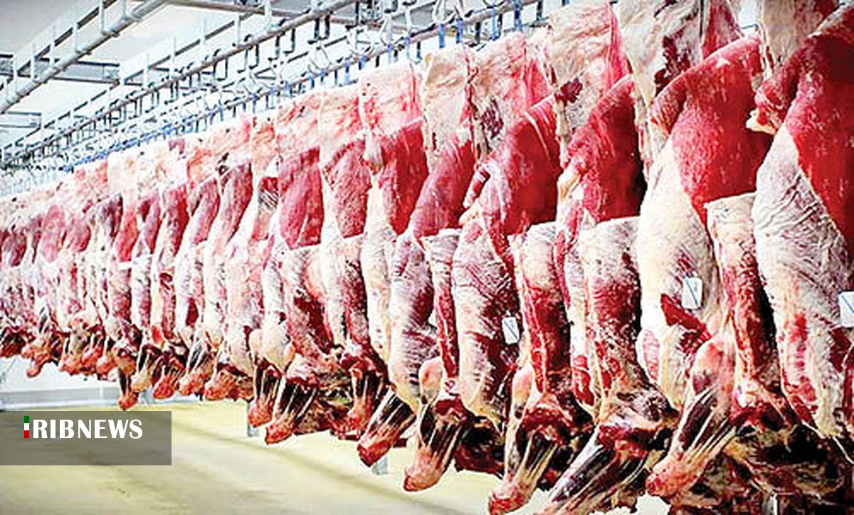 خرید حمایتی بیش از ۳ تن گوشت قرمز از دامداران