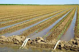 عقد قرارداد آب کشاورزی در شبکه‌های زهره و جراحی