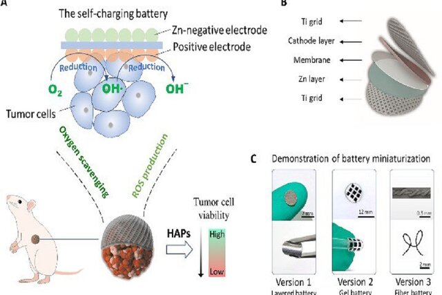 طراحی یک باتری کاشتنی برای نابودی تومور‌ها