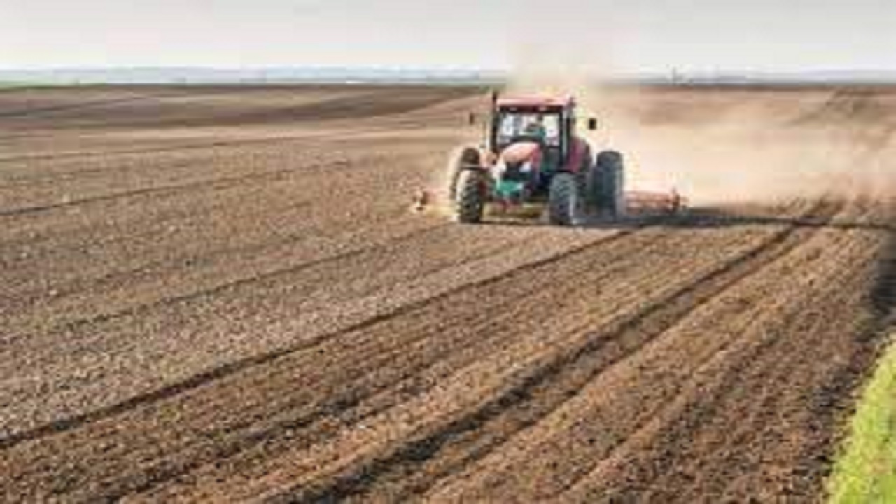 تحقق ۸۸ درصد برنامه جهش تولید در دیمزار‌های استان قزوین