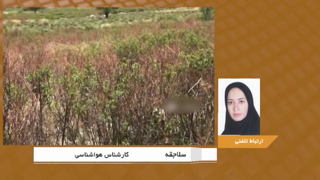 ماندگاری سرمای شدید تا چهارشنبه در کرمان