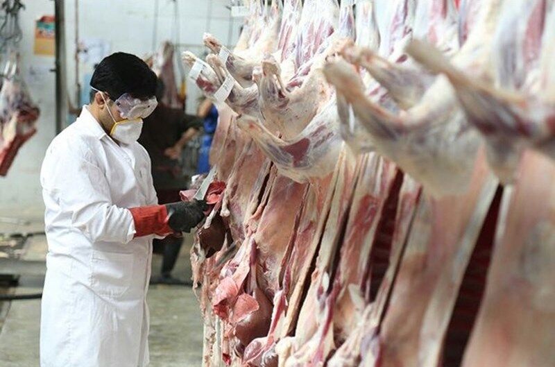 نظارت بر تولید بیش از ۵۵۰ تن گوشت قرمز در خوزستان
