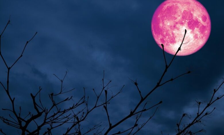 امشب ماه صورتی را در آسمان رصد کنید